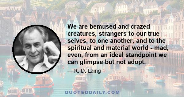 We are bemused and crazed creatures, strangers to our true selves, to one another, and to the spiritual and material world - mad, even, from an ideal standpoint we can glimpse but not adopt.