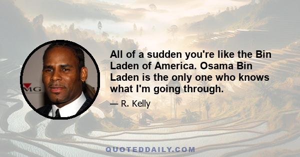 All of a sudden you're like the Bin Laden of America. Osama Bin Laden is the only one who knows what I'm going through.