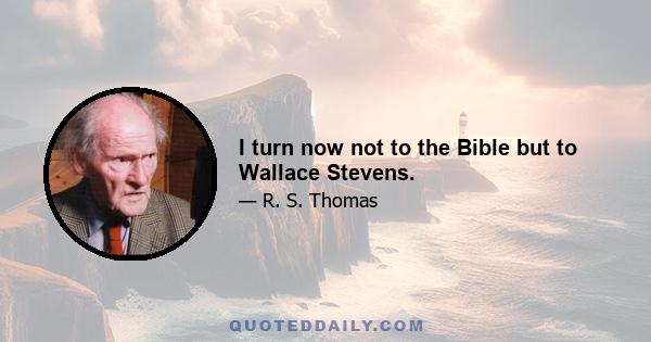 I turn now not to the Bible but to Wallace Stevens.