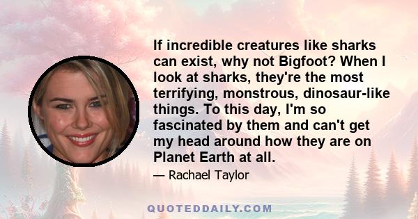 If incredible creatures like sharks can exist, why not Bigfoot? When I look at sharks, they're the most terrifying, monstrous, dinosaur-like things. To this day, I'm so fascinated by them and can't get my head around