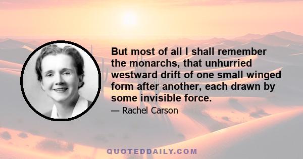 But most of all I shall remember the monarchs, that unhurried westward drift of one small winged form after another, each drawn by some invisible force.