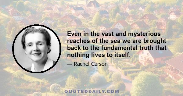 Even in the vast and mysterious reaches of the sea we are brought back to the fundamental truth that nothing lives to itself.