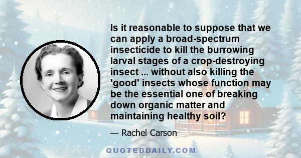 Is it reasonable to suppose that we can apply a broad-spectrum insecticide to kill the burrowing larval stages of a crop-destroying insect ... without also killing the 'good' insects whose function may be the essential