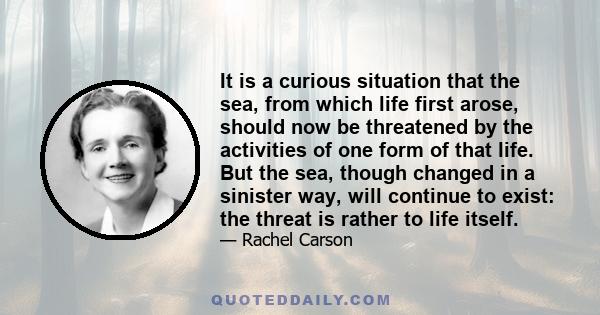 It is a curious situation that the sea, from which life first arose, should now be threatened by the activities of one form of that life. But the sea, though changed in a sinister way, will continue to exist: the threat 