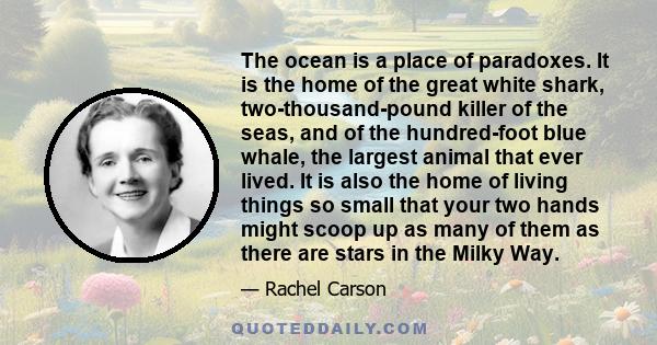 The ocean is a place of paradoxes. It is the home of the great white shark, two-thousand-pound killer of the seas, and of the hundred-foot blue whale, the largest animal that ever lived. It is also the home of living