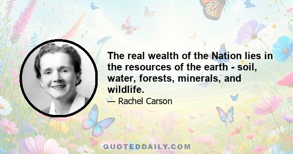 The real wealth of the Nation lies in the resources of the earth - soil, water, forests, minerals, and wildlife.