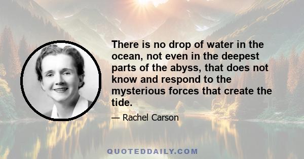 There is no drop of water in the ocean, not even in the deepest parts of the abyss, that does not know and respond to the mysterious forces that create the tide.