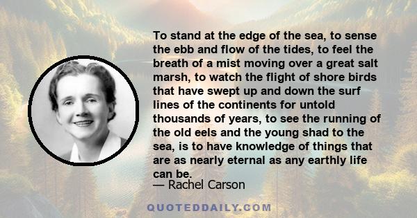 To stand at the edge of the sea, to sense the ebb and flow of the tides, to feel the breath of a mist moving over a great salt marsh, to watch the flight of shore birds that have swept up and down the surf lines of the