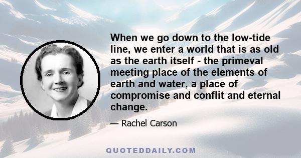 When we go down to the low-tide line, we enter a world that is as old as the earth itself - the primeval meeting place of the elements of earth and water, a place of compromise and conflit and eternal change.