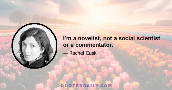 I'm a novelist, not a social scientist or a commentator.