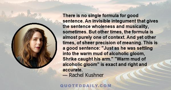 There is no single formula for good sentence. An invisible integument that gives the sentence wholeness and musicality, sometimes. But other times, the formula is almost purely one of context. And yet other times, of