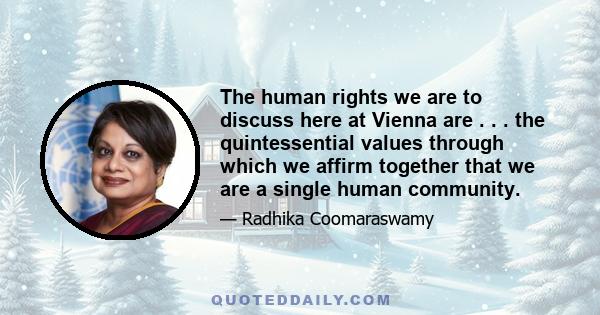 The human rights we are to discuss here at Vienna are . . . the quintessential values through which we affirm together that we are a single human community.