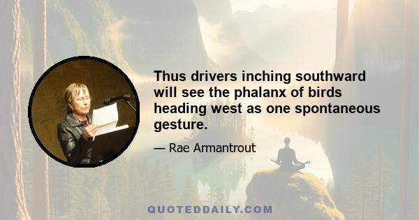 Thus drivers inching southward will see the phalanx of birds heading west as one spontaneous gesture.