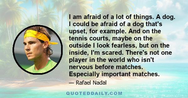 I am afraid of a lot of things. A dog. I could be afraid of a dog that's upset, for example. And on the tennis courts, maybe on the outside I look fearless, but on the inside, I'm scared. There's not one player in the