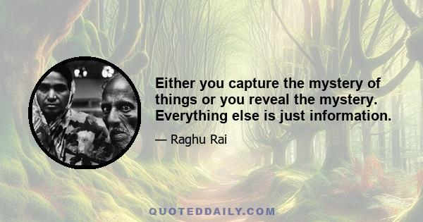 Either you capture the mystery of things or you reveal the mystery. Everything else is just information.