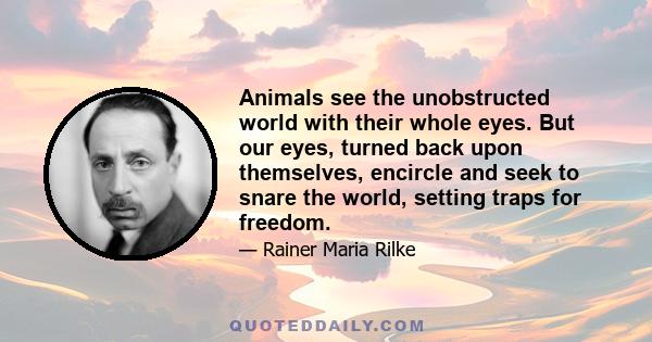 Animals see the unobstructed world with their whole eyes. But our eyes, turned back upon themselves, encircle and seek to snare the world, setting traps for freedom.