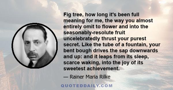 Fig tree, how long it's been full meaning for me, the way you almost entirely omit to flower and into the seasonably-resolute fruit uncelebratedly thrust your purest secret. Like the tube of a fountain, your bent bough