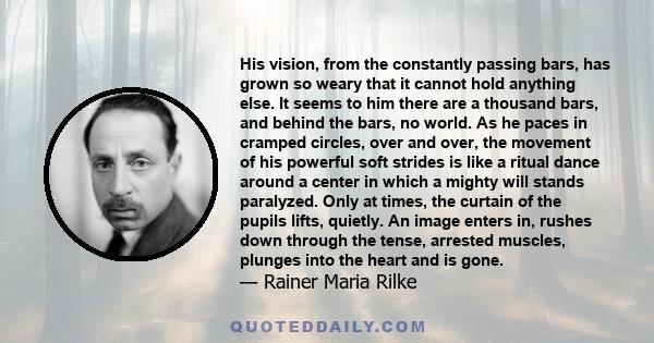 His vision, from the constantly passing bars, has grown so weary that it cannot hold anything else. It seems to him there are a thousand bars, and behind the bars, no world. As he paces in cramped circles, over and