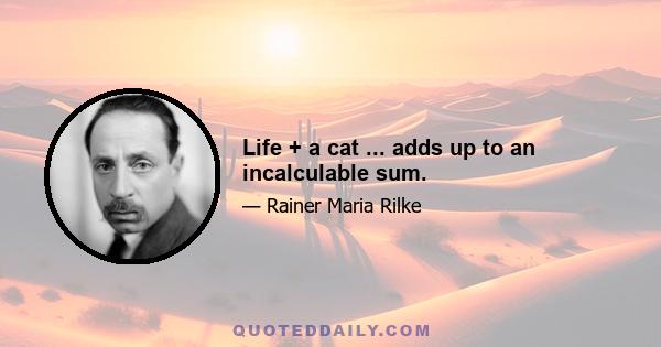 Life + a cat ... adds up to an incalculable sum.