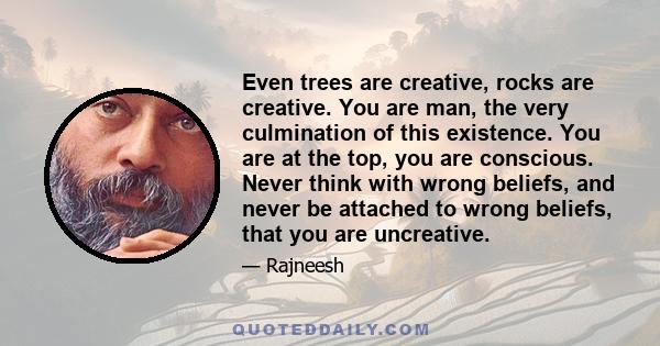 Even trees are creative, rocks are creative. You are man, the very culmination of this existence. You are at the top, you are conscious. Never think with wrong beliefs, and never be attached to wrong beliefs, that you