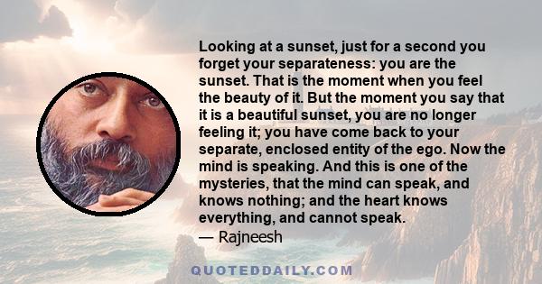 Looking at a sunset, just for a second you forget your separateness: you are the sunset. That is the moment when you feel the beauty of it. But the moment you say that it is a beautiful sunset, you are no longer feeling 