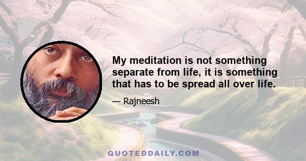 My meditation is not something separate from life, it is something that has to be spread all over life.