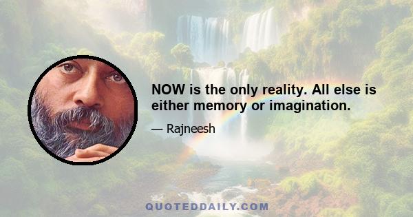 NOW is the only reality. All else is either memory or imagination.