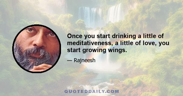 Once you start drinking a little of meditativeness, a little of love, you start growing wings.