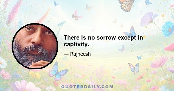 There is no sorrow except in captivity.