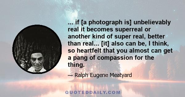 ... if [a photograph is] unbelievably real it becomes superreal or another kind of super real, better than real... [it] also can be, I think, so heartfelt that you almost can get a pang of compassion for the thing.