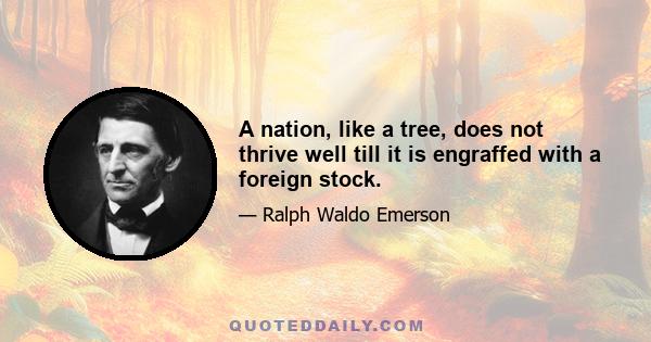 A nation, like a tree, does not thrive well till it is engraffed with a foreign stock.