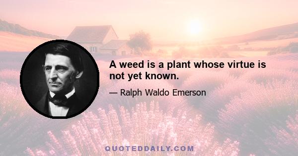 A weed is a plant whose virtue is not yet known.