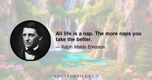 All life is a nap. The more naps you take the better.