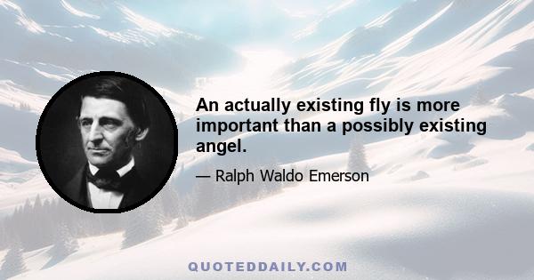 An actually existing fly is more important than a possibly existing angel.