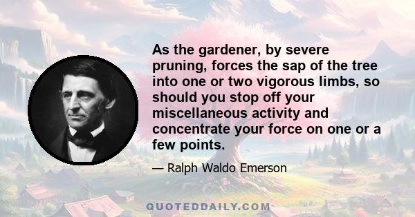 As the gardener, by severe pruning, forces the sap of the tree into one or two vigorous limbs, so should you stop off your miscellaneous activity and concentrate your force on one or a few points.