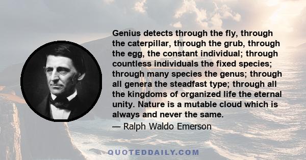 Genius detects through the fly, through the caterpillar, through the grub, through the egg, the constant individual; through countless individuals the fixed species; through many species the genus; through all genera