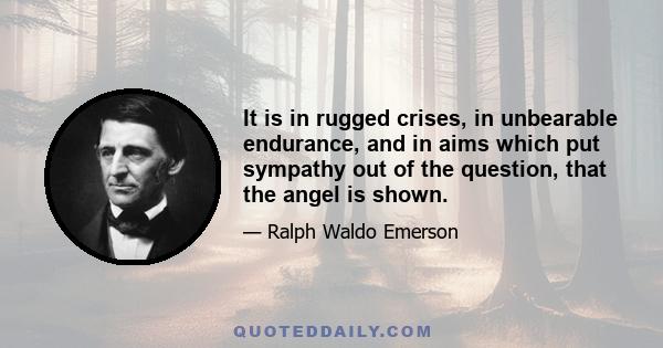 It is in rugged crises, in unbearable endurance, and in aims which put sympathy out of the question, that the angel is shown.