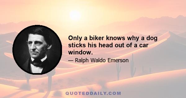 Only a biker knows why a dog sticks his head out of a car window.