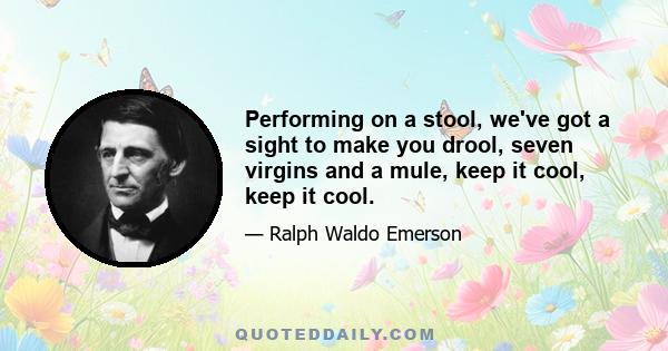 Performing on a stool, we've got a sight to make you drool, seven virgins and a mule, keep it cool, keep it cool.