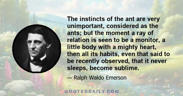 The instincts of the ant are very unimportant, considered as the ants; but the moment a ray of relation is seen to be a monitor, a little body with a mighty heart, then all its habits, even that said to be recently