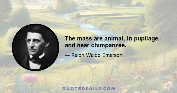 The mass are animal, in pupilage, and near chimpanzee.