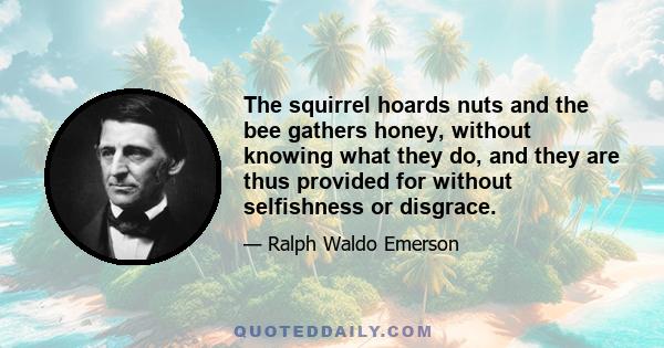 The squirrel hoards nuts and the bee gathers honey, without knowing what they do, and they are thus provided for without selfishness or disgrace.