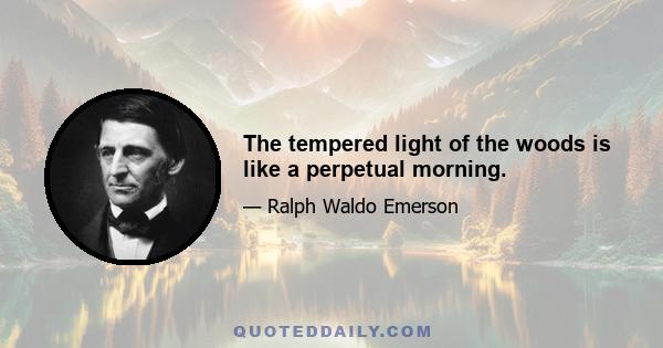 The tempered light of the woods is like a perpetual morning.