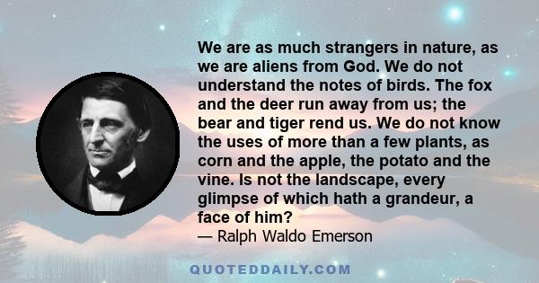 We are as much strangers in nature, as we are aliens from God. We do not understand the notes of birds. The fox and the deer run away from us; the bear and tiger rend us. We do not know the uses of more than a few