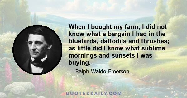 When I bought my farm, I did not know what a bargain I had in the bluebirds, daffodils and thrushes; as little did I know what sublime mornings and sunsets I was buying.