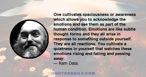 One cultivates spaciousness or awareness which allows you to acknowledge the emotions and see them as part of the human condition. Emotions are like subtle thought forms and they all arise in response to something