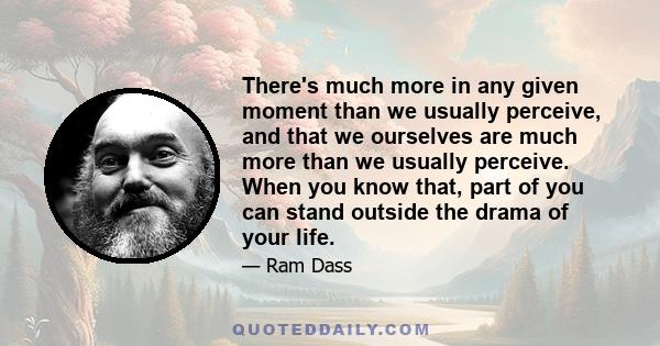 There's much more in any given moment than we usually perceive, and that we ourselves are much more than we usually perceive. When you know that, part of you can stand outside the drama of your life.