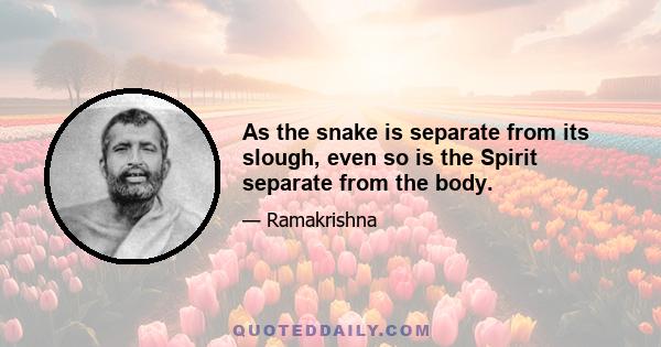 As the snake is separate from its slough, even so is the Spirit separate from the body.