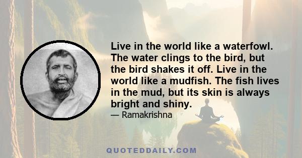 Live in the world like a waterfowl. The water clings to the bird, but the bird shakes it off. Live in the world like a mudfish. The fish lives in the mud, but its skin is always bright and shiny.