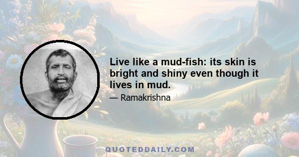 Live like a mud-fish: its skin is bright and shiny even though it lives in mud.